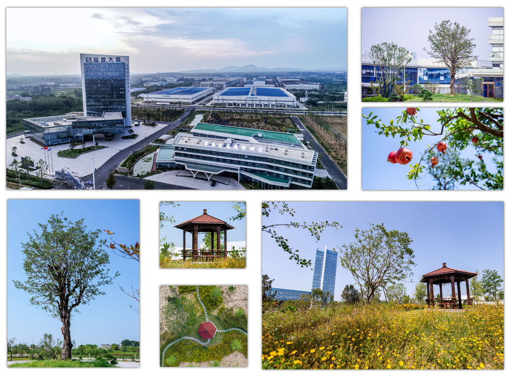 ����ϣ����williamhill(�й�)���Ĺ���