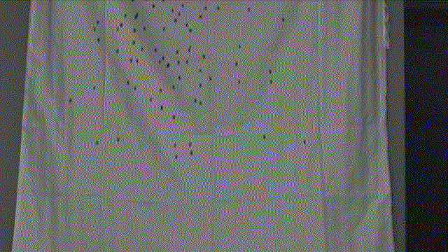 ����ϣ����williamhill(�й�)���Ĺ���