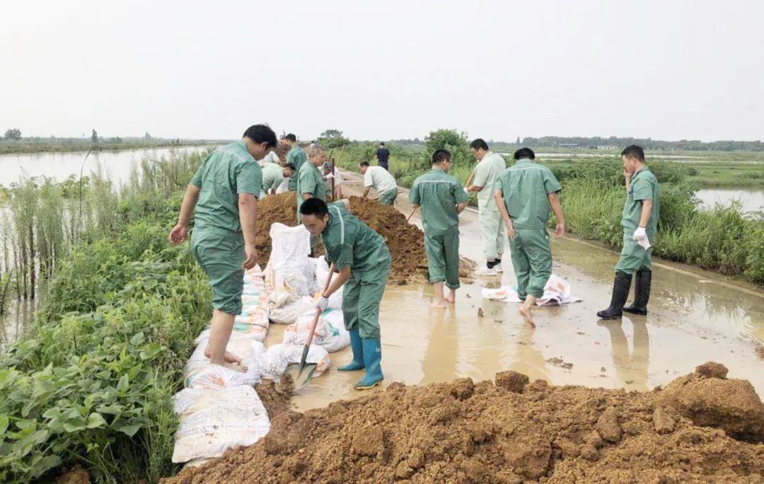 ����ϣ����williamhill(�й�)���Ĺ���