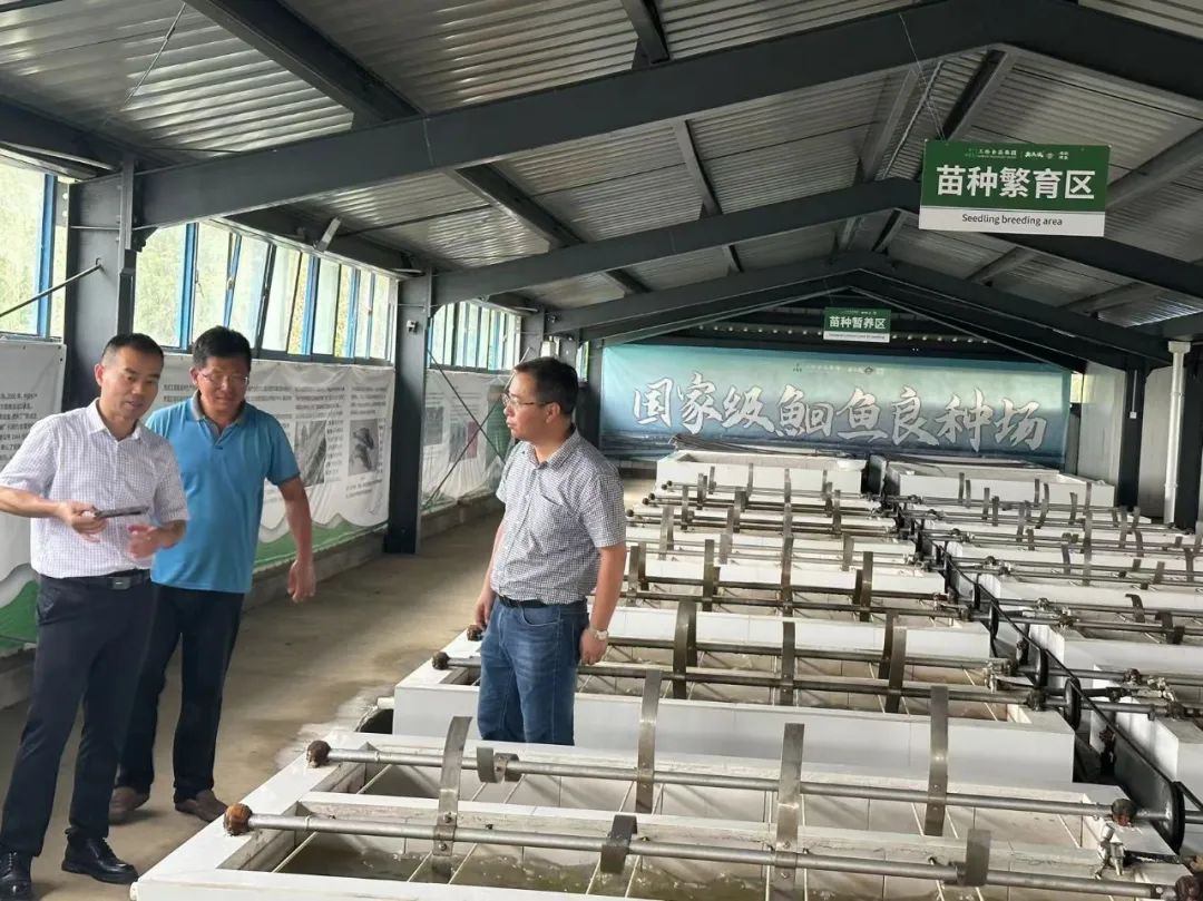 威廉希尔·williamhill(中国)中文官网